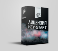 Лицензия "Запуск двигателя по технологии KEY-Start"